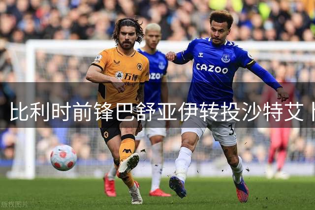 比利时前锋巴舒亚伊转投沙特艾卜哈俱乐部